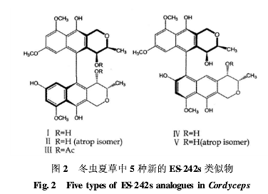 冬虫夏草中5种新的ES-242s类似物