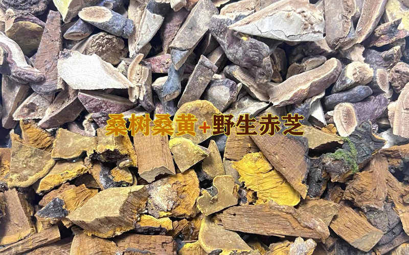 桑黄灵芝购销合同