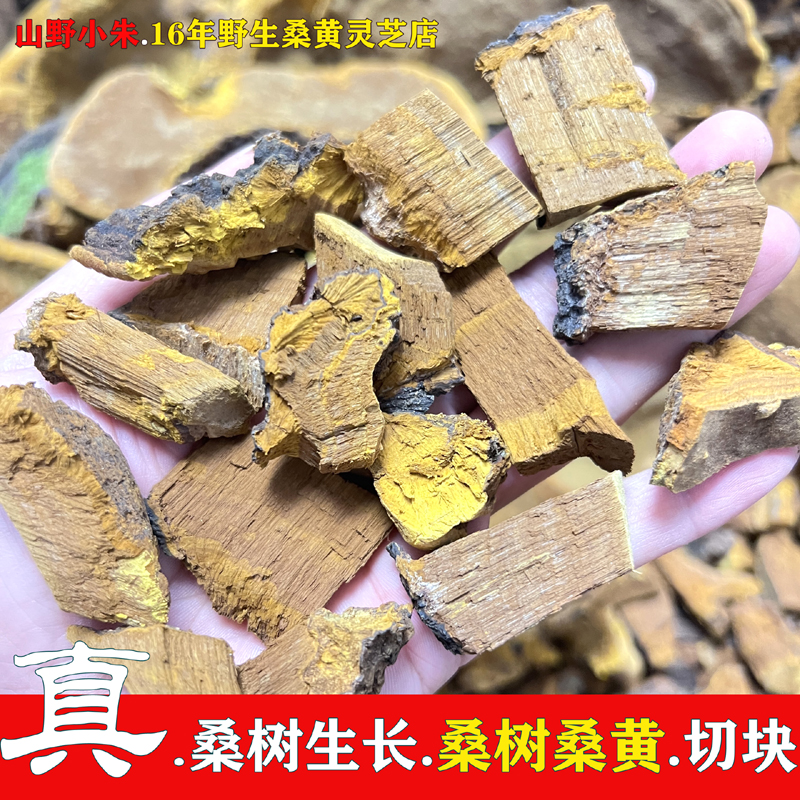 山野小朱桑树桑黄切块的用料来源