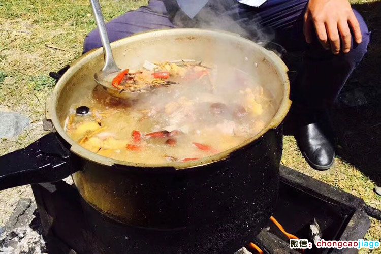 冬虫夏草炖羊肉汤