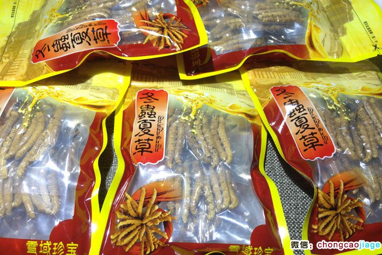 2条1克冬虫夏草真空包装