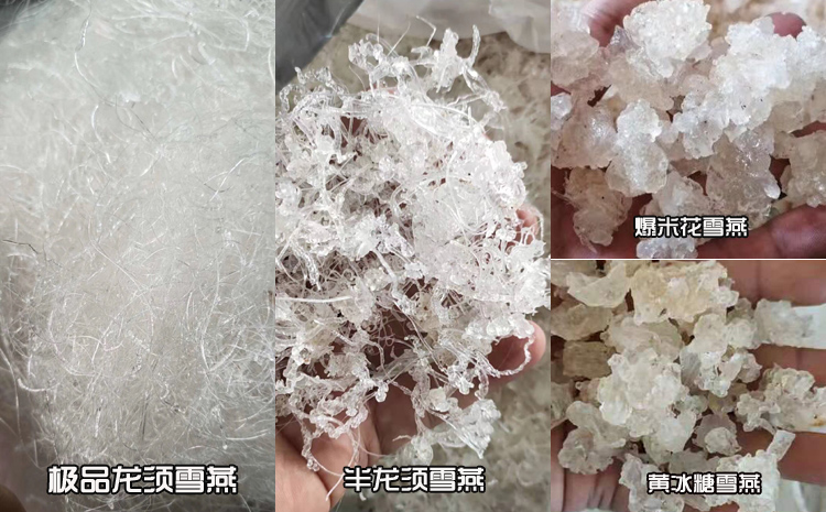 缅甸雪燕分级图片