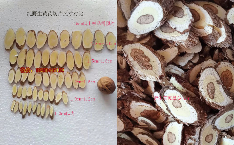 野生黄芪尺寸大小对比图片