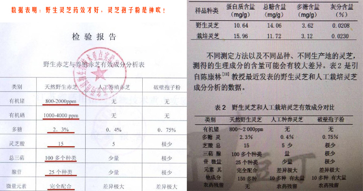 野生灵芝、人工灵芝和灵芝孢子粉成分对比图片