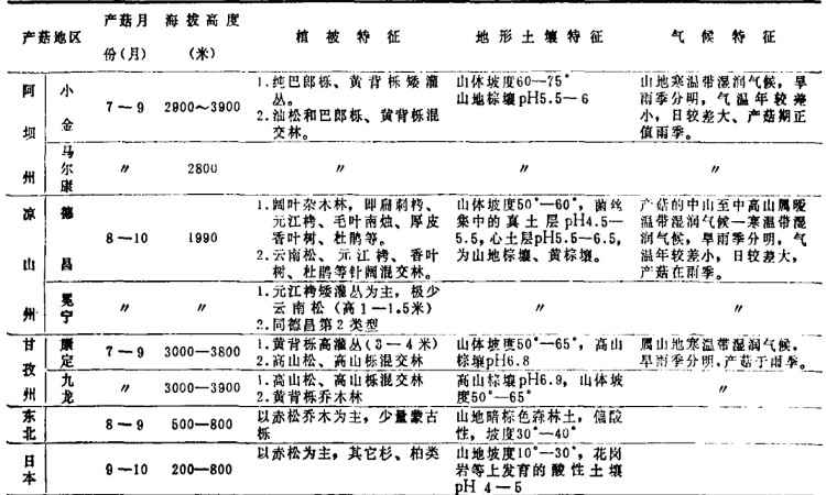 四川松茸生态环境对比图片