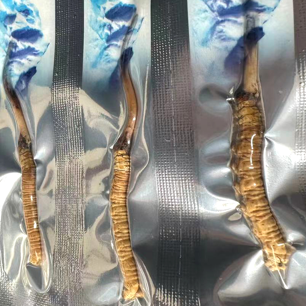新鲜虫草真空包装