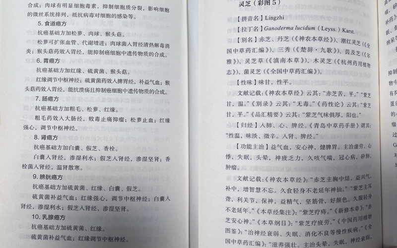 桑黄灵芝抗癌说明