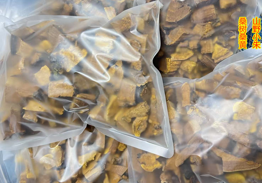 桑树桑黄切块 桑树桑黄切块