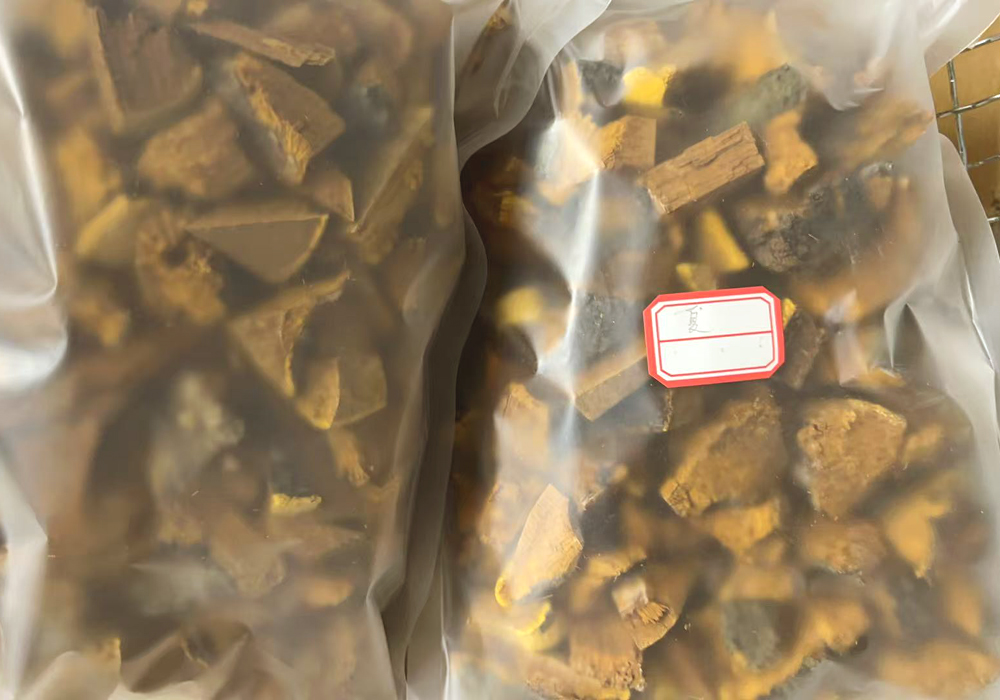 发江苏常州桑黄图片
