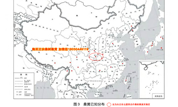 野生桑树桑黄分布地图